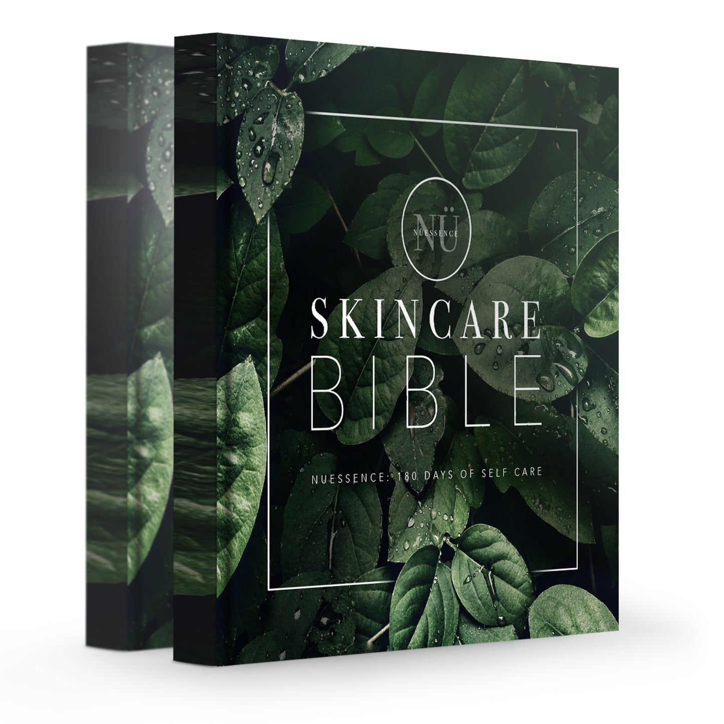 The Skincare Bible: 180 Days of Skincare
